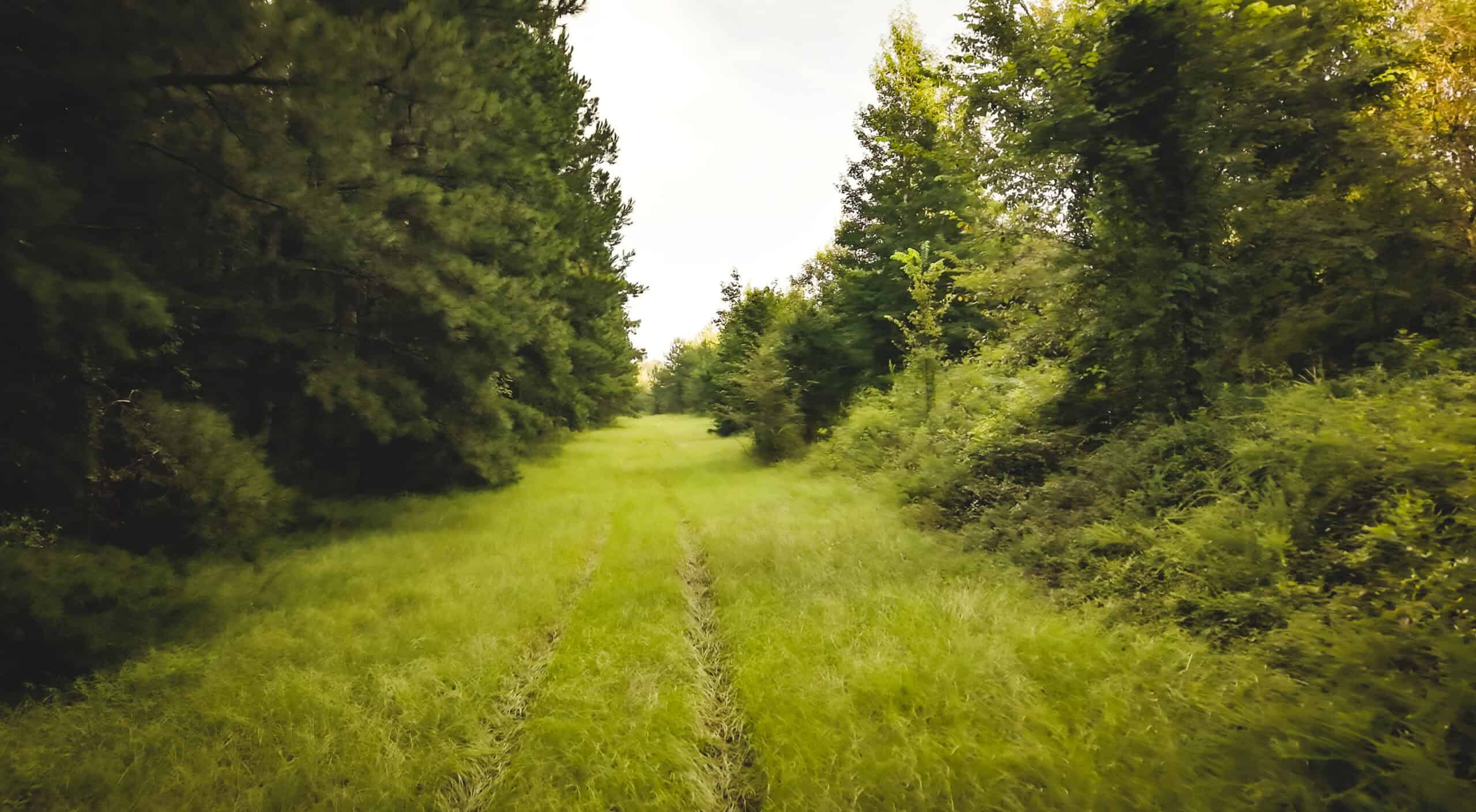 River Trails 127 | 127 Acres | Montezuma, GA